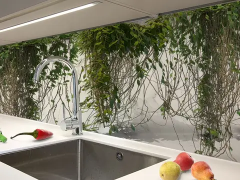 Panel szklany kuchnia bluszcz
